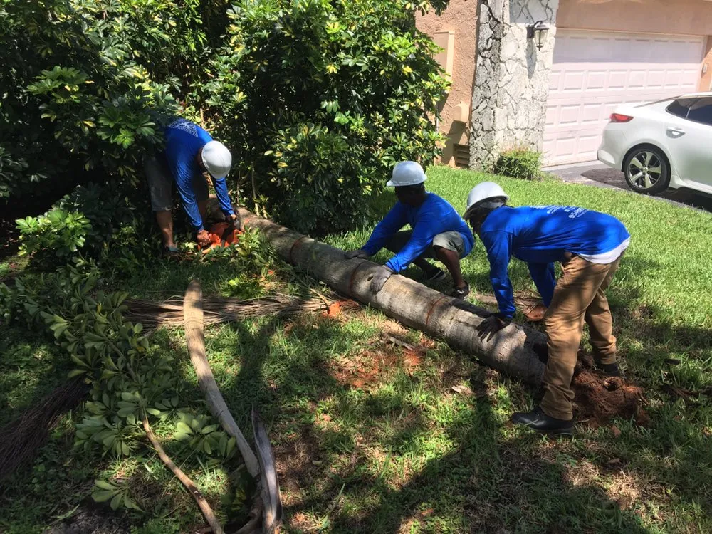 Trusted lawn care service near you in Davie, FL by Advanced Tree Services & Property Maintenance