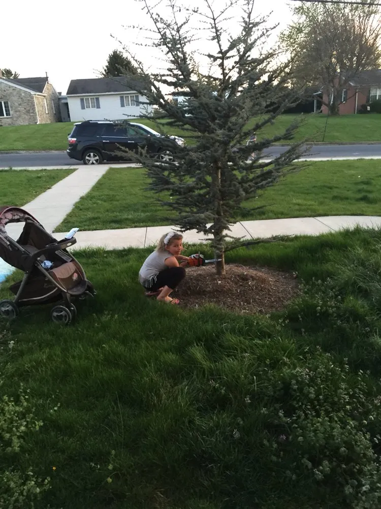 Trusted landscape installation for outdoor upgrades in Greencastle, PA by Advanced Tree Solutions