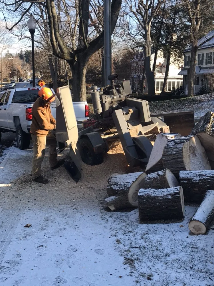 Custom outdoor landscaping in Greencastle, PA - Advanced Tree Solutions