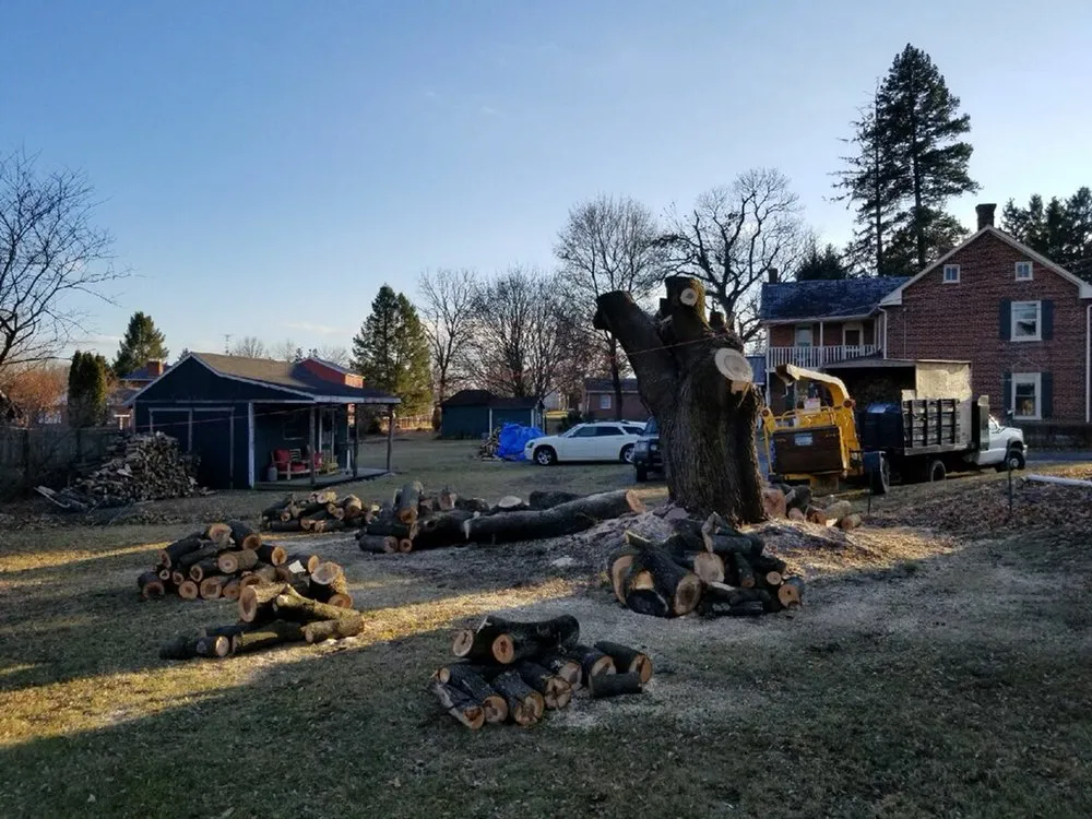 Expert lawn care service with custom design across Greencastle, PA - Advanced Tree Solutions