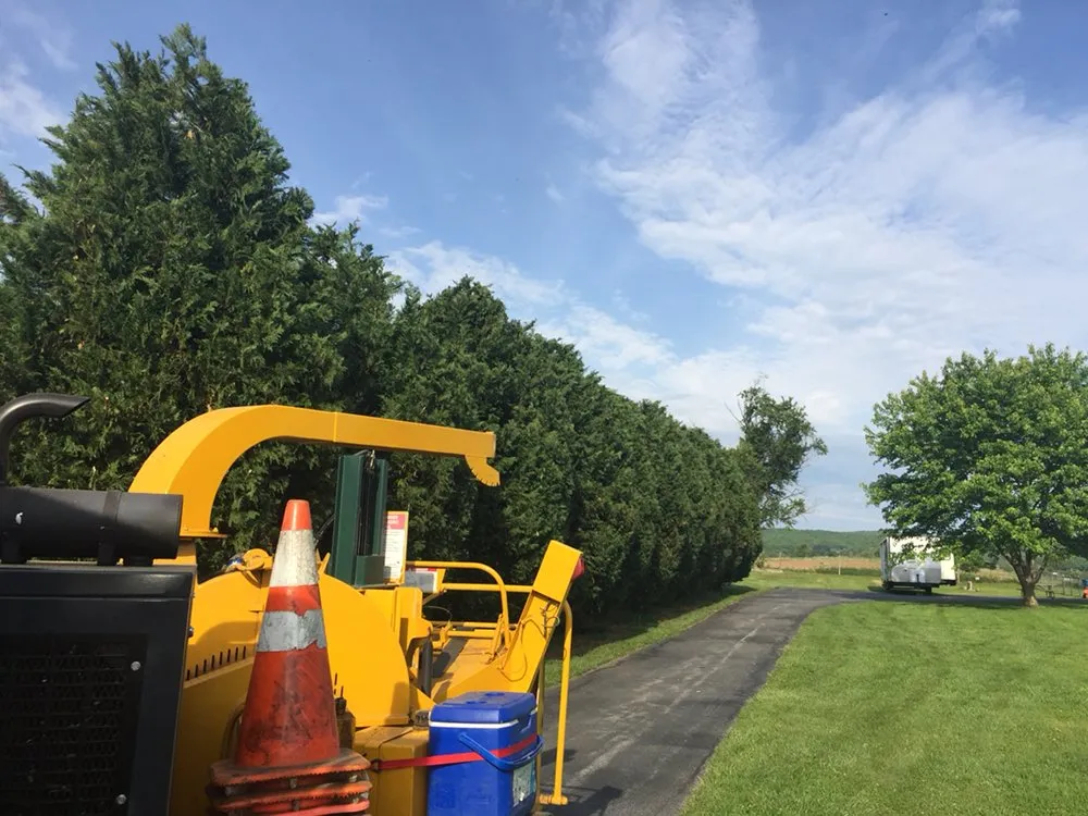 Professional landscape installation for outdoor upgrades in Greencastle, PA by Advanced Tree Solutions