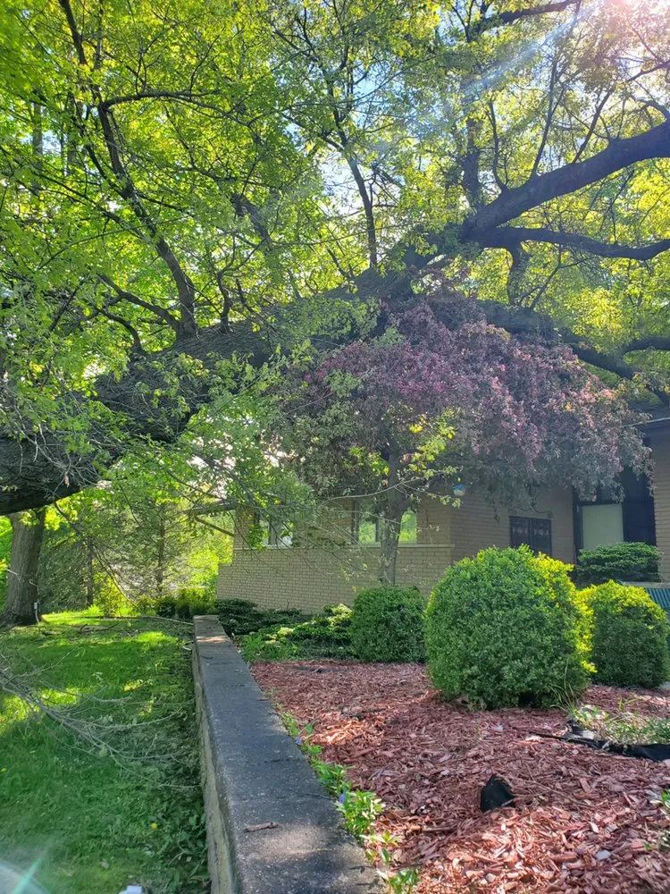 Custom landscape installation in Orion Township, MI by Advanced Tree Solutions