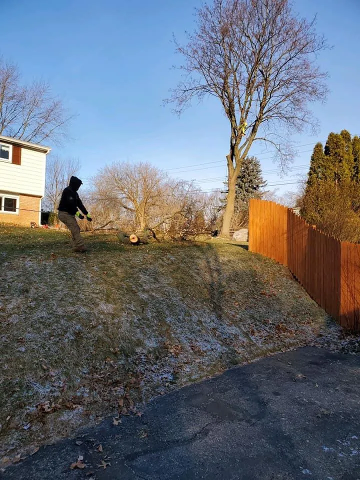 Local landscaping services for homes across Orion Township, MI - Advanced Tree Solutions