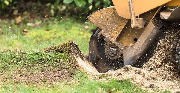 Expert landscape design experts serving Orion Township, MI - Advanced Tree Solutions