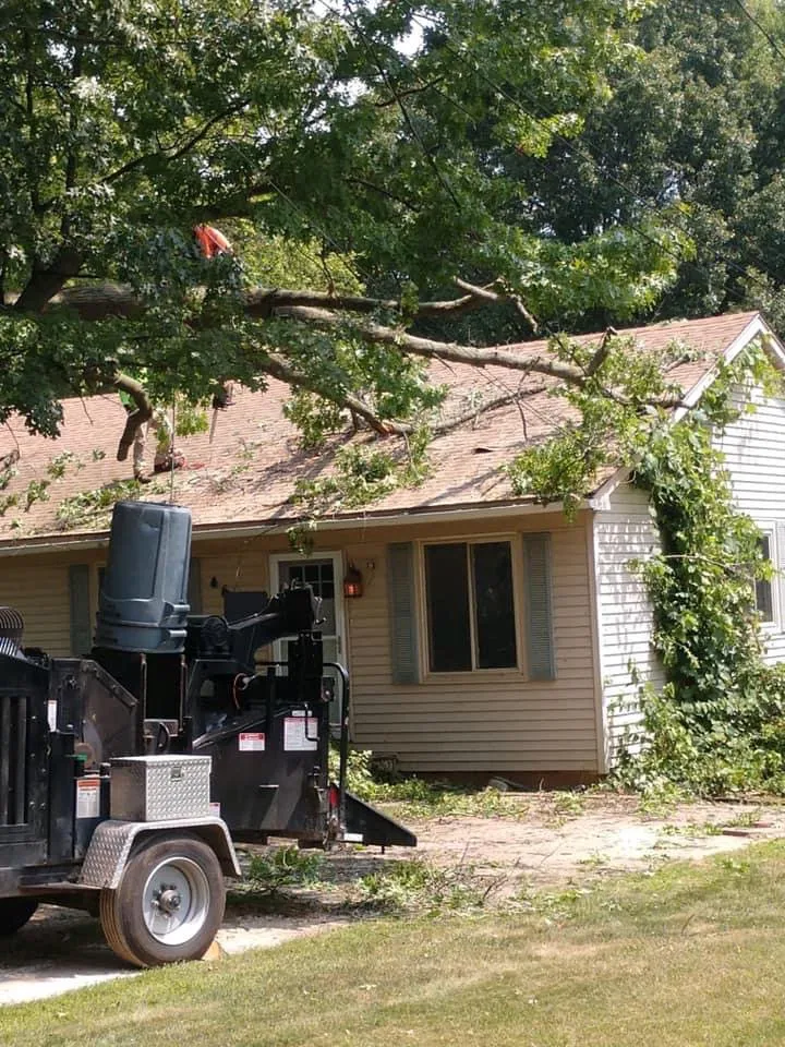 Reliable landscape design in Orion Township, MI by Advanced Tree Solutions