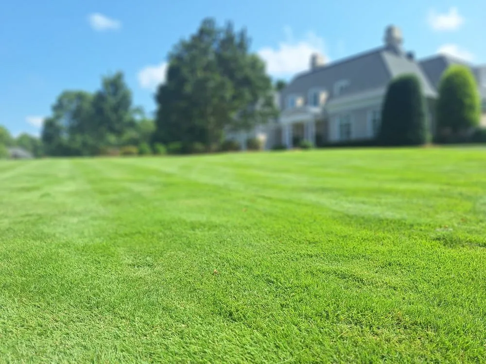 Trusted yard cleanup service experts serving Gastonia, NC - Advanced Turf Care