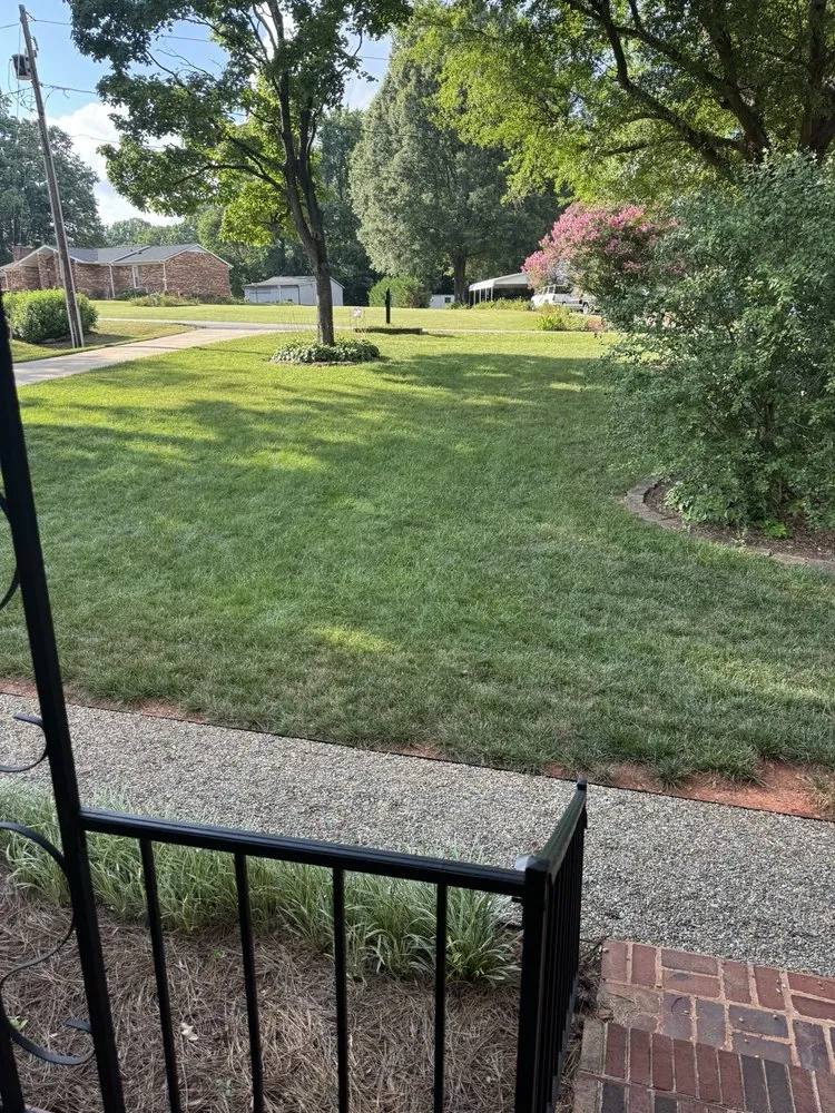 Reliable yard cleanup service for beautiful yards in Gastonia, NC by Advanced Turf Care