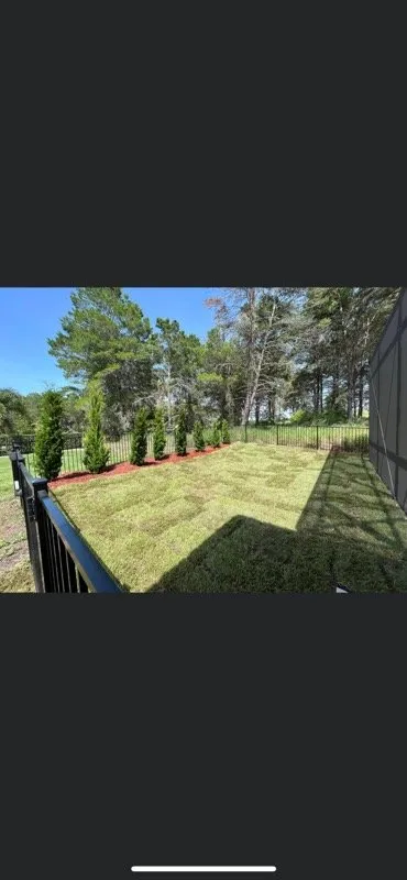 Professional residential landscaping experts serving Clermont, FL - AdvanceScape