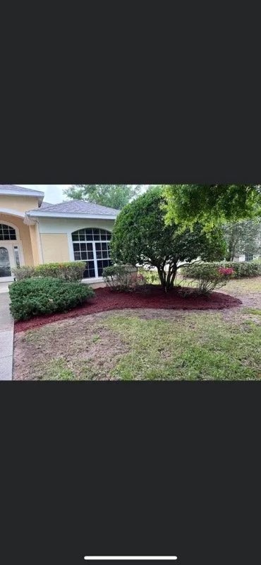 Professional landscape design for residential properties across Clermont, FL - AdvanceScape