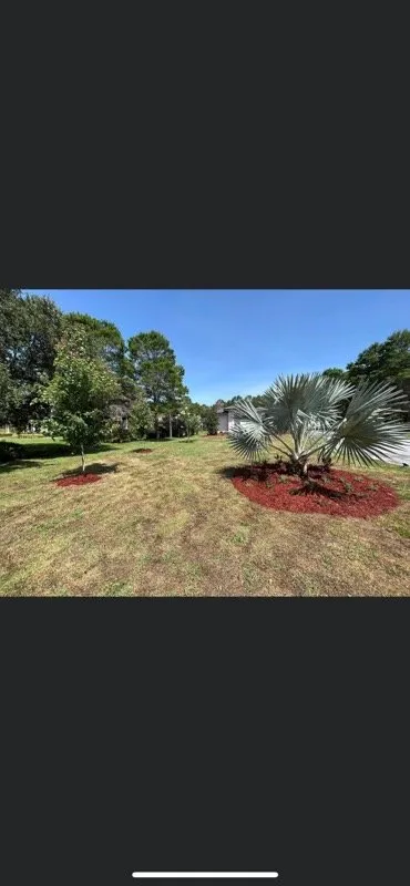 Expert outdoor landscaping in Clermont, FL - AdvanceScape