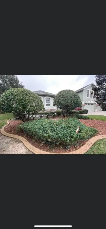 Expert residential landscaping for beautiful yards in Clermont, FL by AdvanceScape