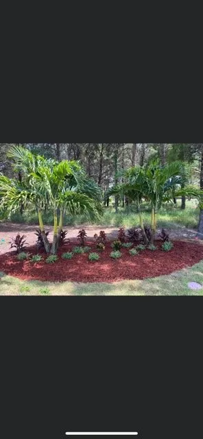 Expert yard maintenance in Clermont, FL - AdvanceScape