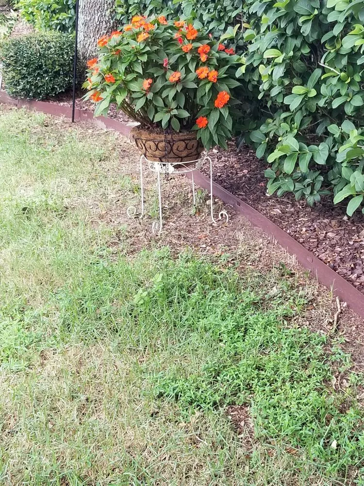 Top-rated residential landscaping in Summerfield, FL by ADVANTAGE GREEN Lawn & Pest Solutions