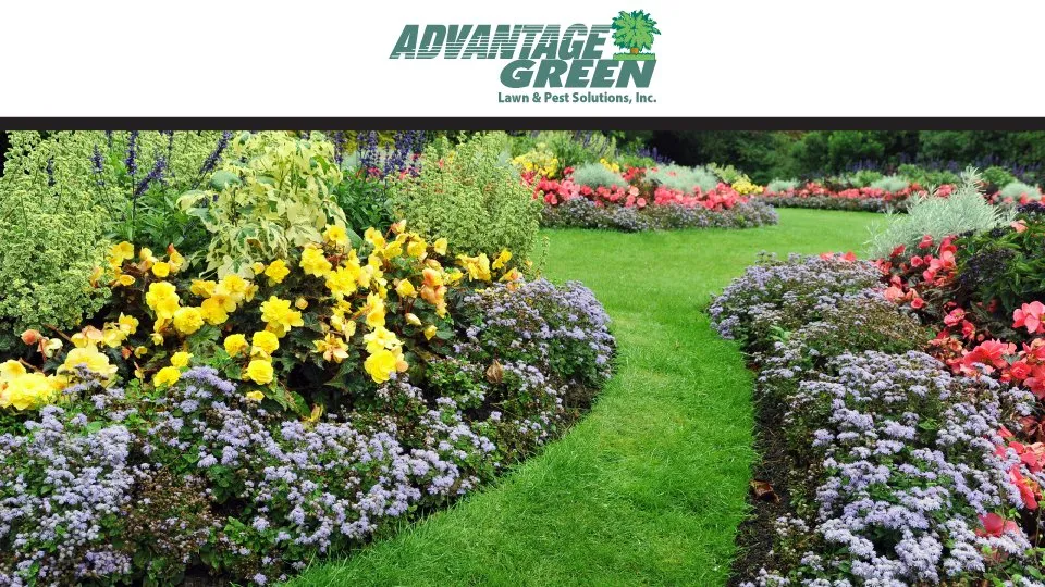 Custom landscape design for outdoor upgrades across Summerfield, FL - ADVANTAGE GREEN Lawn & Pest Solutions