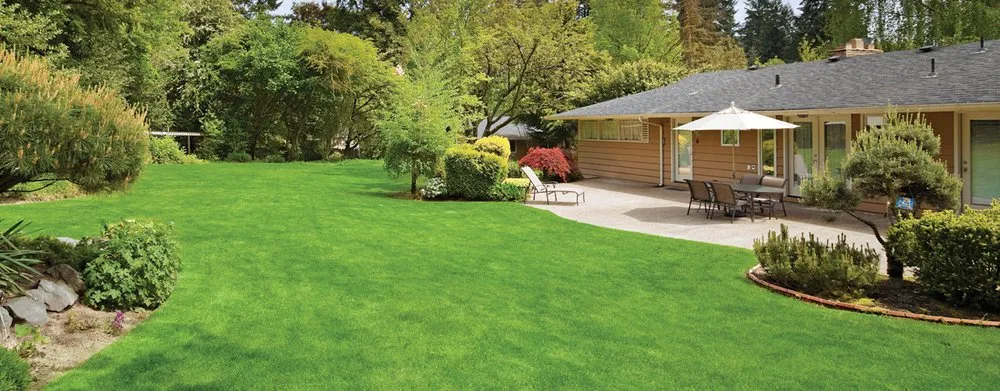 Reliable yard cleanup service in Mancos, CO - Advantage K-Lawn