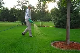 Expert landscape design for homes in Mancos, CO by Advantage K-Lawn