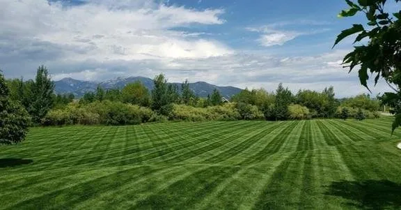 Affordable garden landscaping near you in Bozeman, MT by Advantage Land Care