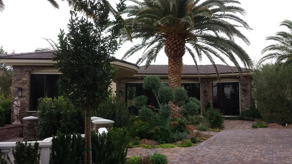 Top-rated landscaping services experts serving Las Vegas, NV - Advantage Landscape