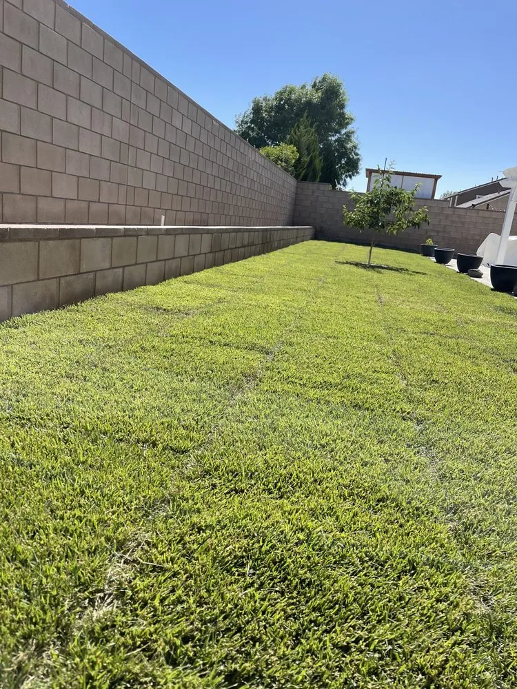 Affordable lawn mowing service for outdoor upgrades across Lancaster, CA - Advantage Landscapes