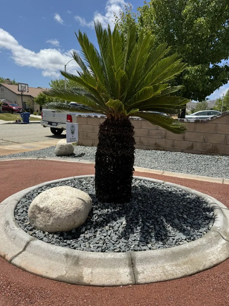 Professional garden landscaping near you across Lancaster, CA - Advantage Landscapes