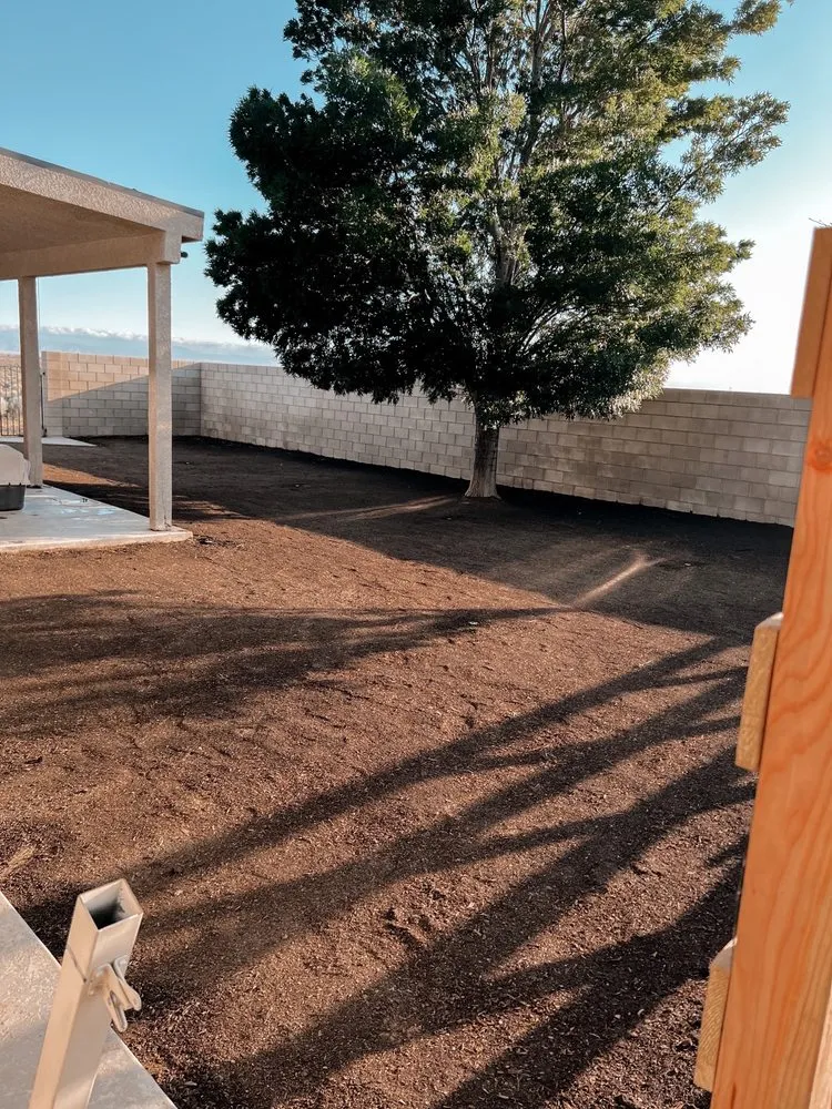 Custom yard maintenance experts serving Lancaster, CA - Advantage Landscapes