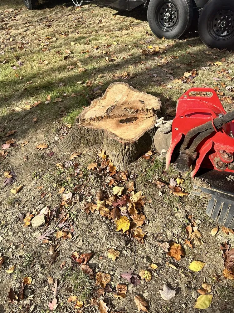 Top-rated yard maintenance experts serving Mineral Springs, PA - Advantage Landscaping and Services