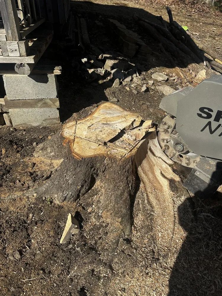 Local outdoor landscaping for residential properties across Mineral Springs, PA - Advantage Landscaping and Services