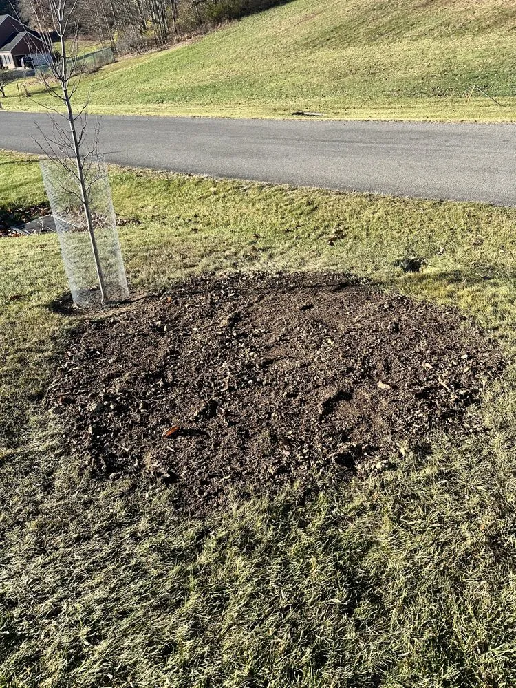 Expert yard maintenance for beautiful yards in Mineral Springs, PA by Advantage Landscaping and Services
