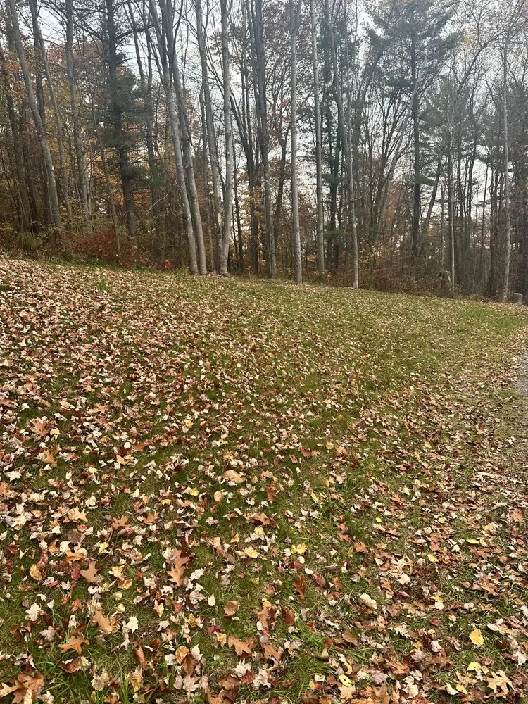 Reliable landscape design in Mineral Springs, PA by Advantage Landscaping and Services
