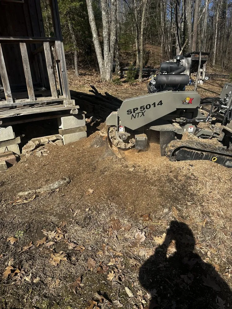 Custom landscaping services for year-round maintenance across Mineral Springs, PA - Advantage Landscaping and Services