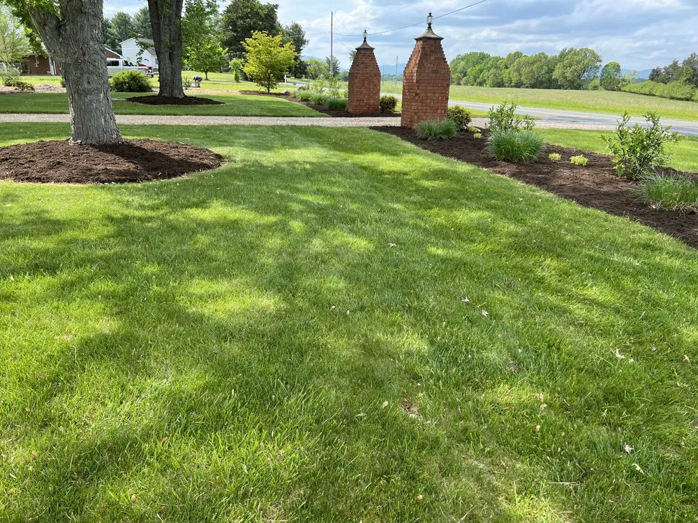 Top-rated yard cleanup service in Lynchburg, VA - Advantage Landscaping