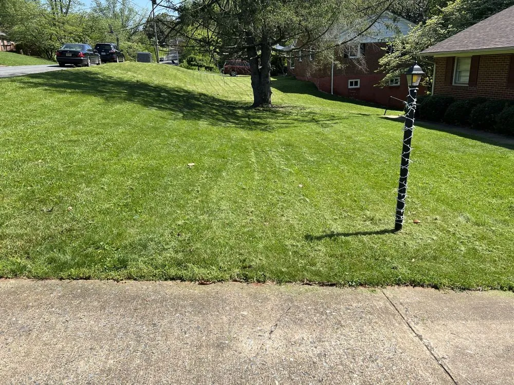 Professional landscaping services near you in Lynchburg, VA by Advantage Landscaping