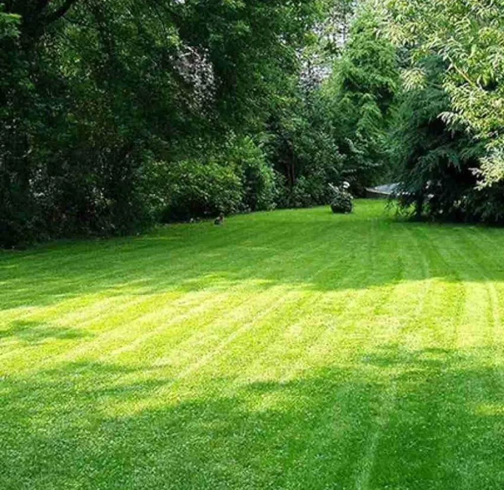 Expert yard maintenance for beautiful yards across Lynchburg, VA - Advantage Landscaping
