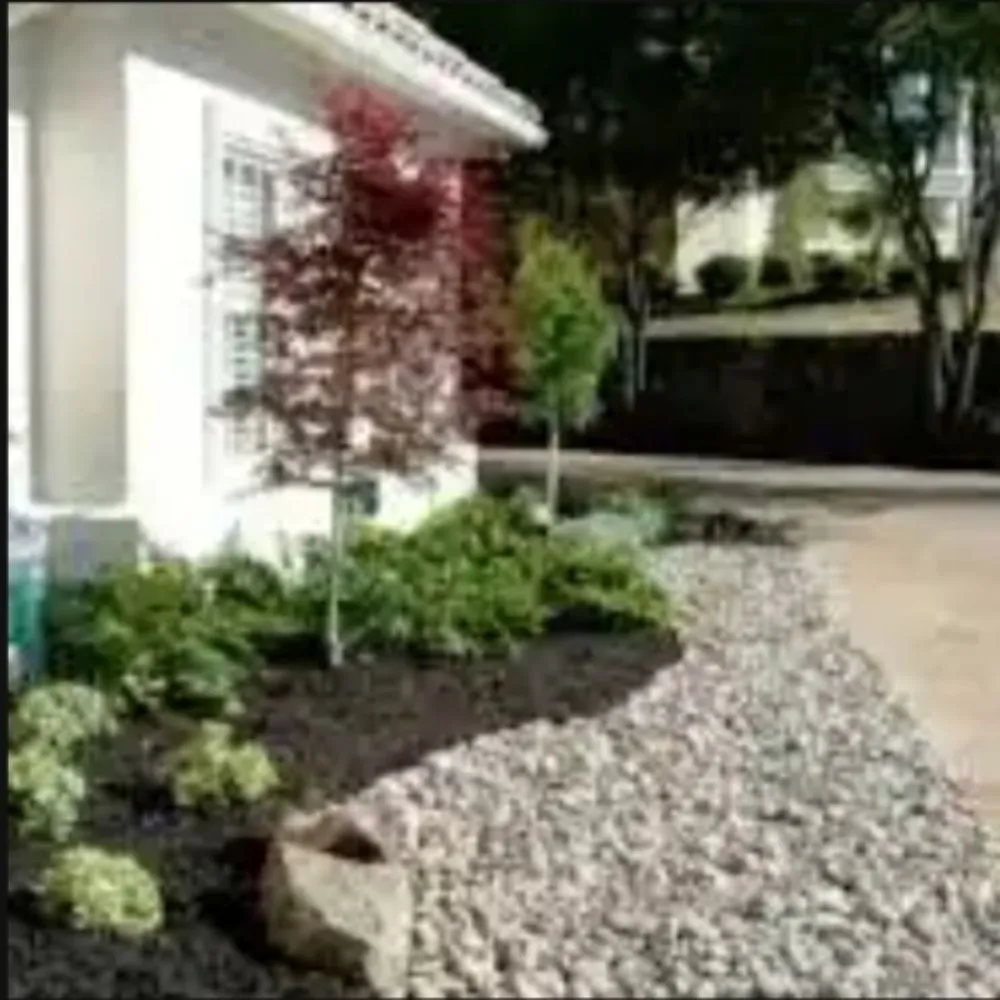 Reliable landscaping services for homes in Lynchburg, VA by Advantage Landscaping