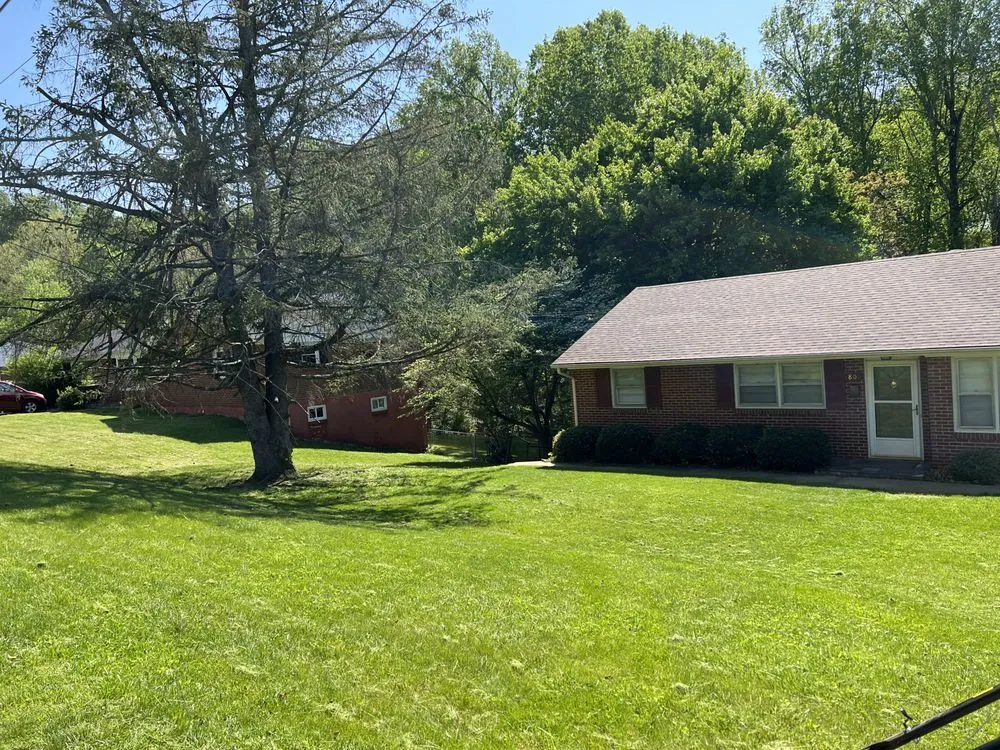 Professional landscape design in Lynchburg, VA by Advantage Landscaping