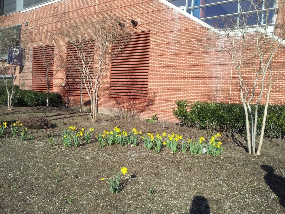 Reliable residential landscaping for outdoor upgrades across Baltimore, MD - Advantage Lawn & Landscaping