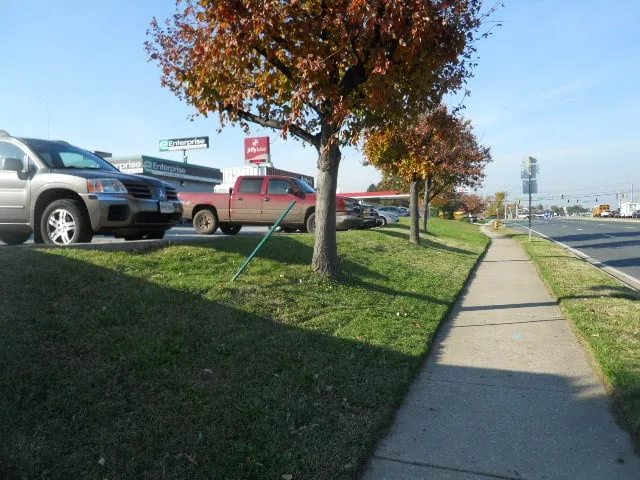 Trusted yard cleanup service for homes in Baltimore, MD by Advantage Lawn & Landscaping