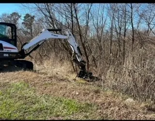 Top-rated yard cleanup service in Parksley, VA - Advantage Lawn Care