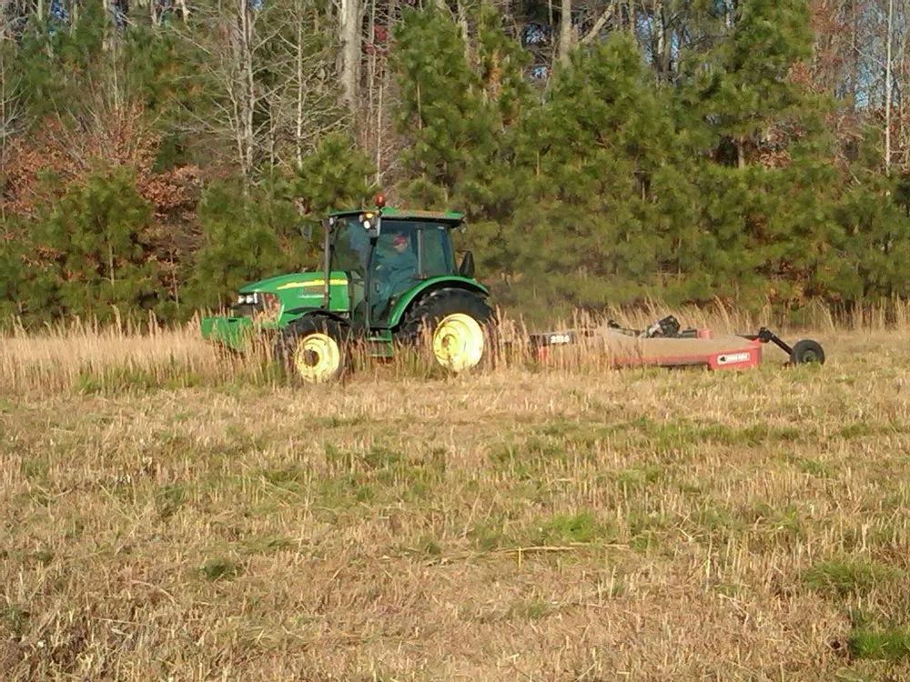Professional garden landscaping in Parksley, VA - Advantage Lawn Care