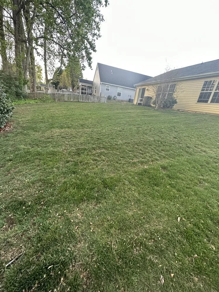 Trusted landscaping services in Simpsonville, SC by Advantage Lawn Care