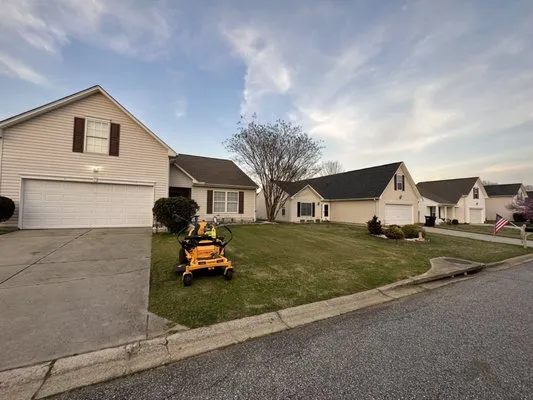 Advantage Lawn Care Logo