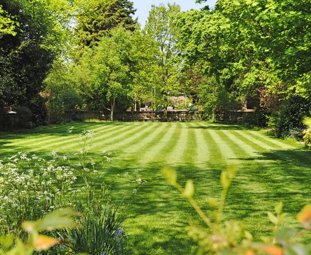 Top-rated landscape design for outdoor upgrades across Weymouth, MA - Advantage Lawn Care