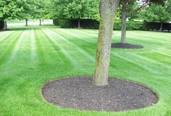 Reliable landscape installation in Weymouth, MA by Advantage Lawn Care
