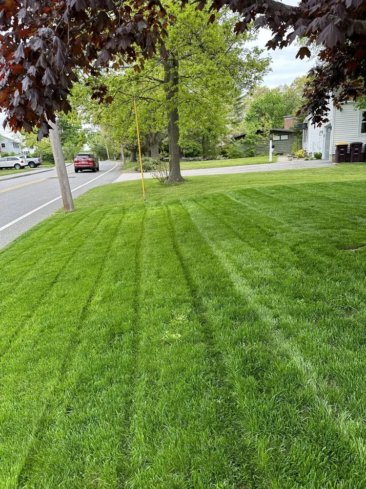 Local landscape installation in Weymouth, MA by Advantage Lawn Care