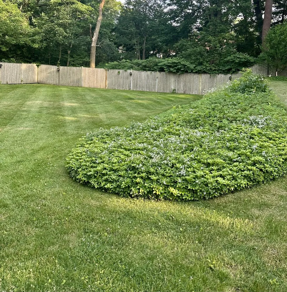 Reliable yard maintenance in Weymouth, MA by Advantage Lawn Care