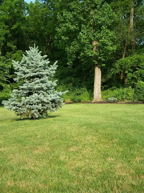 Top-rated residential landscaping with custom design in York, PA by Advantage Lawn Service