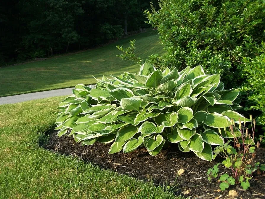 Custom garden landscaping for residential properties in York, PA by Advantage Lawn Service