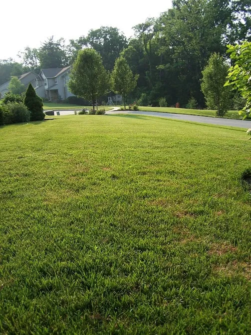 Expert landscaping services for beautiful yards in York, PA by Advantage Lawn Service