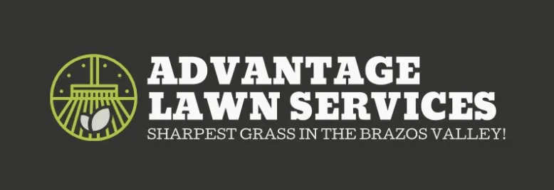 Trusted outdoor landscaping in College Station, TX by Advantage Lawn Services