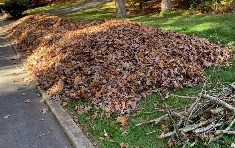 Professional landscaping services for outdoor upgrades across Mars Hill, NC - Advantage Lawns